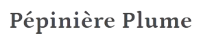 Pépinière Plume