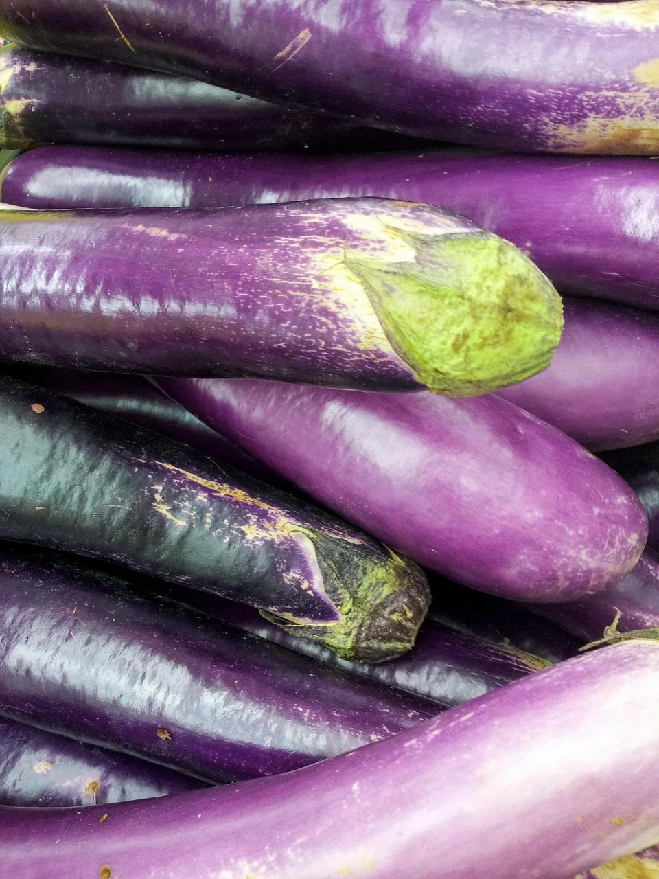 Aubergine "Violetta Lunga" - Image 3