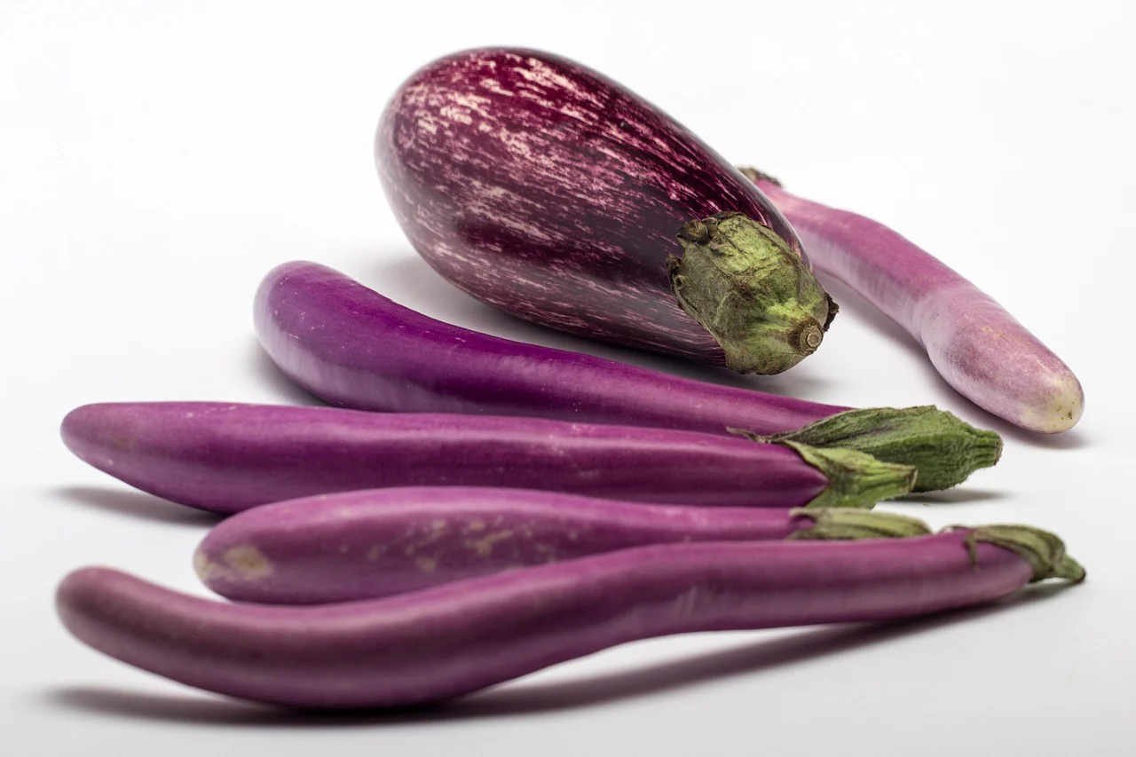 Aubergine "Violetta Lunga" - Image 4