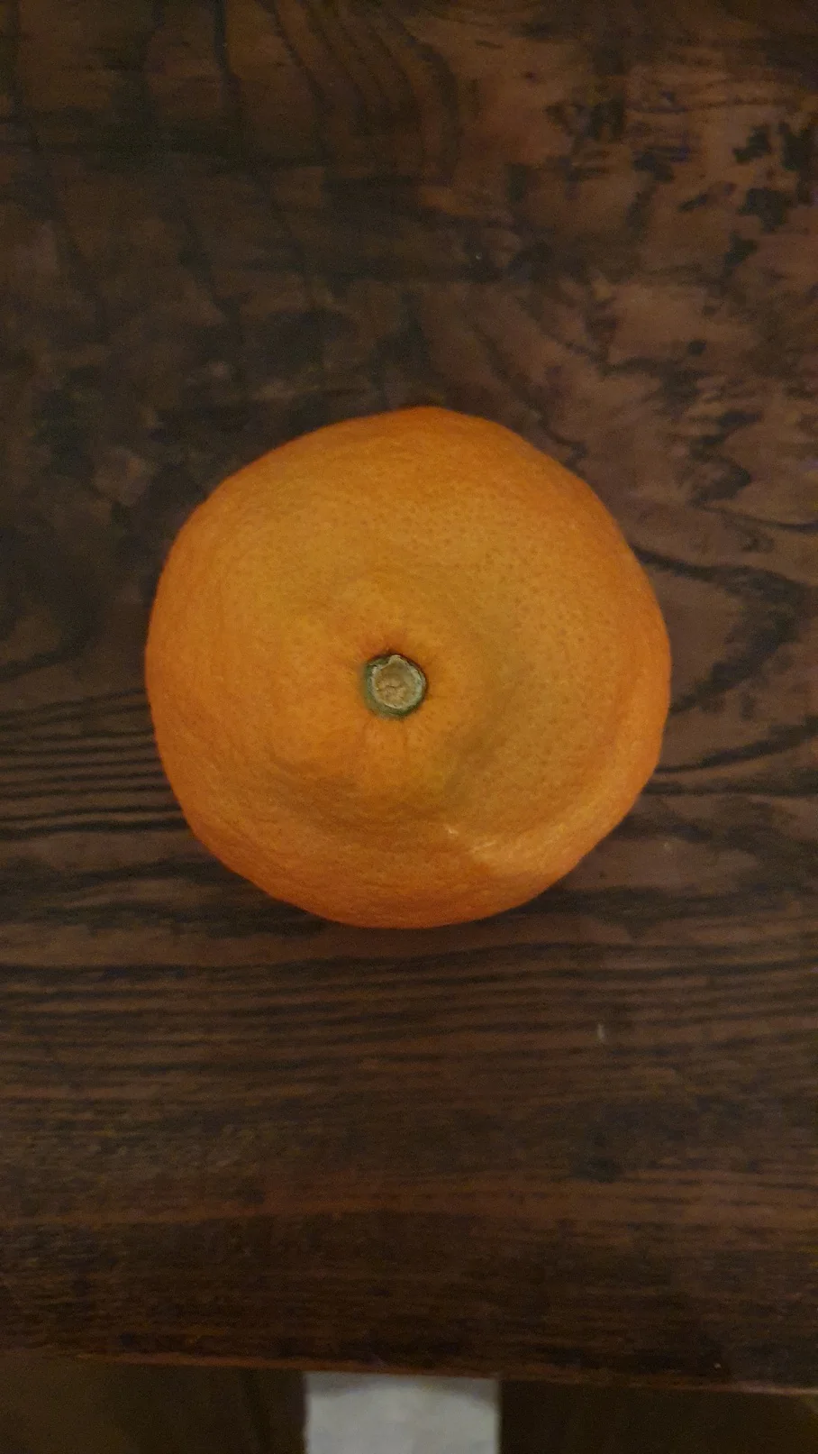 Mandarinier satsuma - Image 3