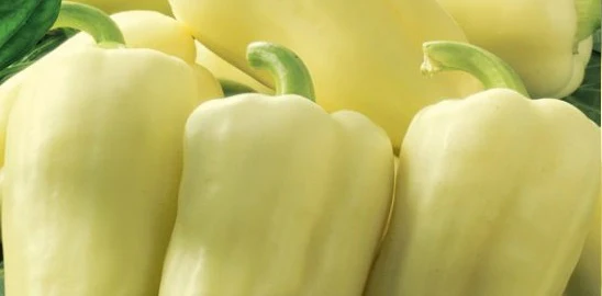 Poivron "Zorza"
